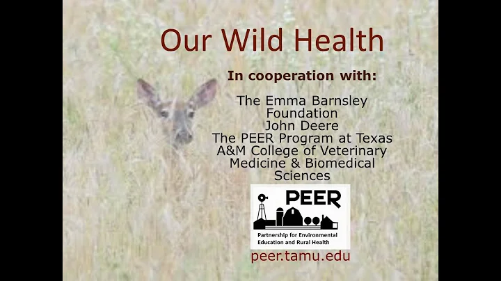 Wildlife Health