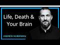 Life, Death & the Neuroscience of Your Unique Experience – How Your Brain Creates Reality