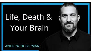 Life, Death & the Neuroscience of Your Unique Experience – How Your Brain Creates Reality