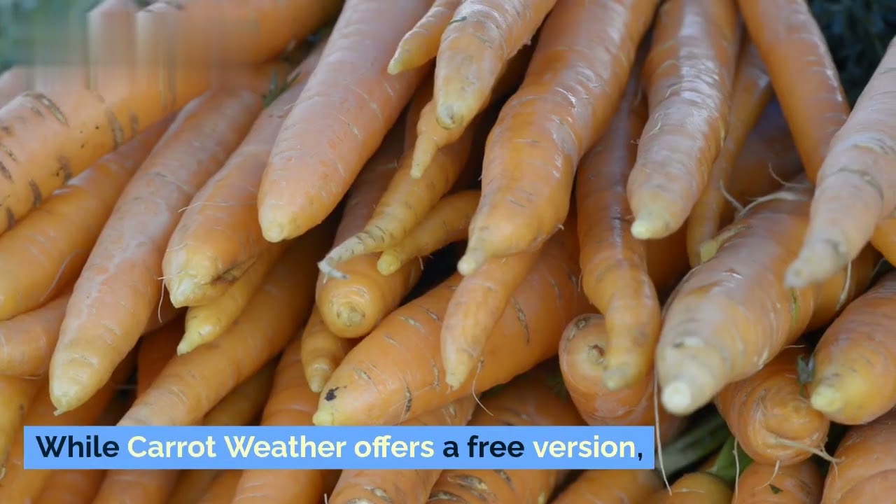 carrot weather | carrot weather app | carrot weather item combinations | reddit carrot weather