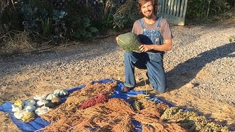 Matt Powers on SEED SAVING | The Advanced Permaculture Student Online