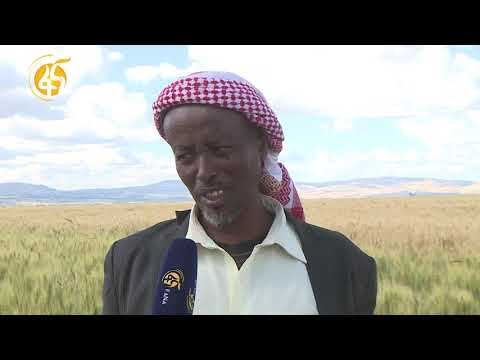 የባሌ ዞን የመኸር ሰብል ምልከታ