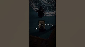 تلاوة خاشعة للشيخ ناصر القطامي #قالب_قرآن
