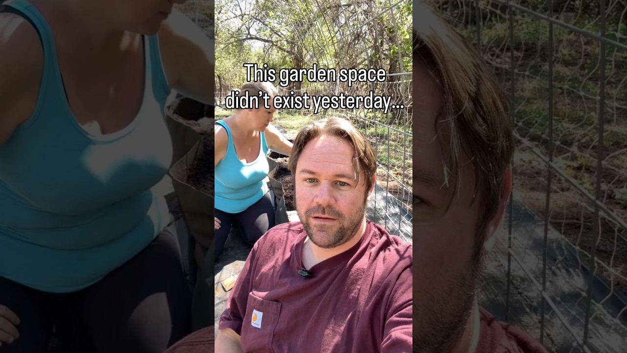 Uploads from From Seed to Spoon Garden Planning App