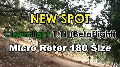 New Spot - Micro Rotor 180 size