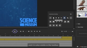 Customize Timeline Toolbar in Adobe Animate