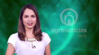 AGRONOTICIAS sie7e PROGRAMA 37
