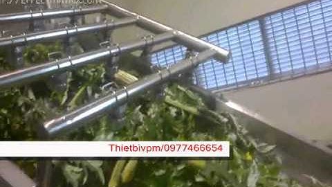 Dây chuyền rửa   thái dược liệu