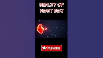 The Reality of Heart Beat #hearttouching #facts #heartbeat
