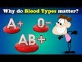 Why do Blood Types matter?   more videos | #aumsum #kids #science #education #children