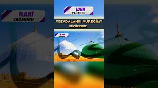 Sevdalandı yüreğim - Küçük Emre - İlahi Yağmuru #ilahiler #ilahi #ilahidinle Resimi