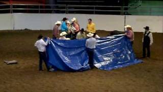 Calgary Stampede 2010