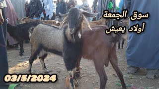 سوق الماعز ‼️ سوق الجمعة أولاد يعيش جديان وجديات عيد الاضحى تاريخ 📅 3/5/2024🐐🐐🎁🇲🇦