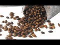 麦茶