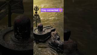 Mahadev Bhakti Status || WhatsApp status #mahadev #shivbhakti #shiv #shorts