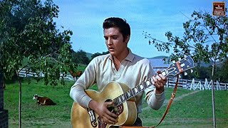 Elvis Presley - Loving You (4-Track-Stereo) - Original Undubbed Movie Studio Master With Harmonica