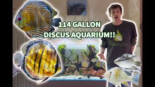 114 Gallon (120cm) Rimless Planted Discus Aquarium by The Bio Dude