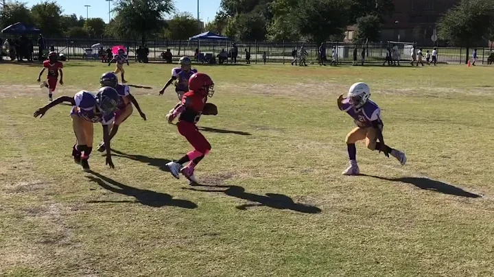 Sam Langston IV 2018 10U Highlights Lancaster Bull...