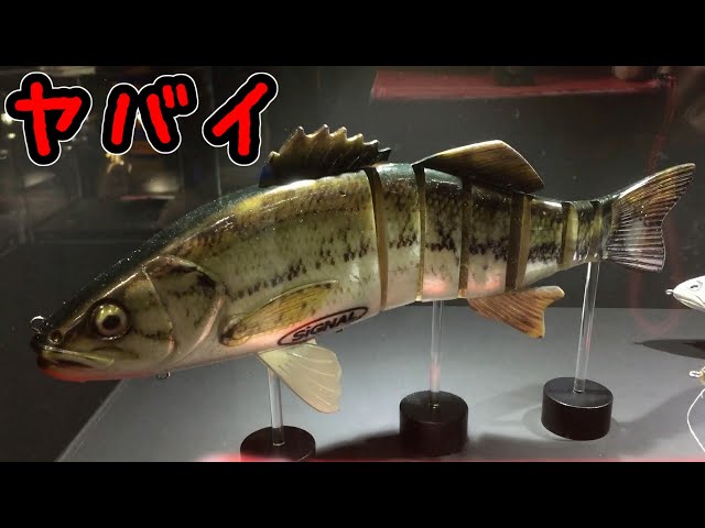 バス釣り デカバス狙いのビックベイト 奥田学さんのシグナル