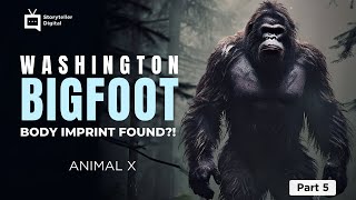 Bigfoot Hair FOUND! Shocking Evidence from Skookum Site (Expert Analysis)