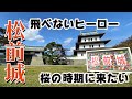 ＃松前城＃北海道＃キャンピングカー＃日本一周＃桜　松前城の桜の木を巡る