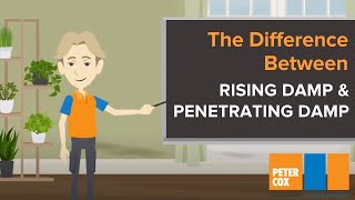 Dampness in Houses? | What's the Difference between Rising Damp and Penetrating Damp?