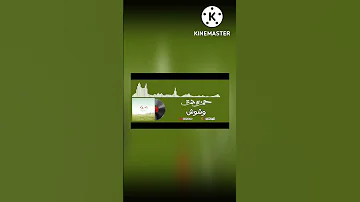 Hamza Namira Wushoosh حمزة نمرة وشوش Music Audio 