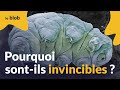 Comment les tardigrades dfient la mort  actu de science