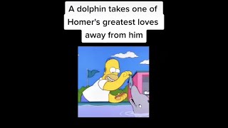 A Dolphin Steals Homers Food
