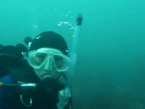 サマータイムダイビングスクール千葉県八千代市
