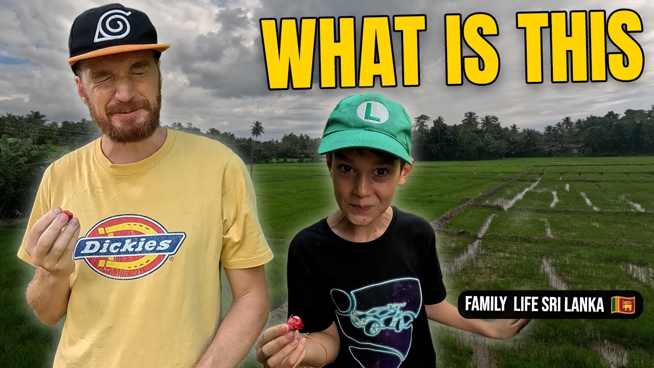 Sri Lanka's Most Beautiful Organic Fruit Farm | Exotic Fruits & Traditional Cooking