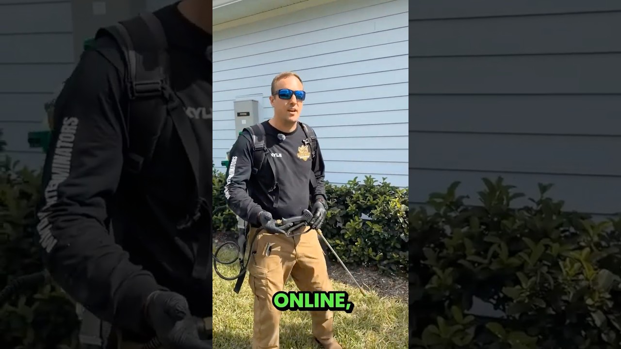 How Google Reviews Actually Grow a Pest Control Business