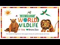 Eric Carle’s World of Wildlife | Bronx Zoo