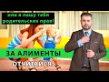 Отчет по алиментам | Обязанность предоставлять отчет по расходованию алиментов в 2020 году