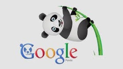 How Panda Algorithm Impacts Your SEO!