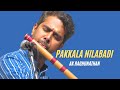 Pakkala Nilabadi | AK Raghunathan | Kharaharapriya | Tyagaraja | Carnatic Flute Concert