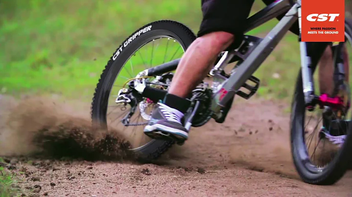 CST Mountainbike Range