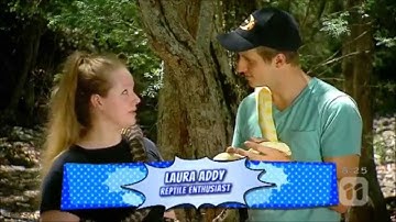 Albino Carpet Python - Laura Addy Reptile Enthusiast