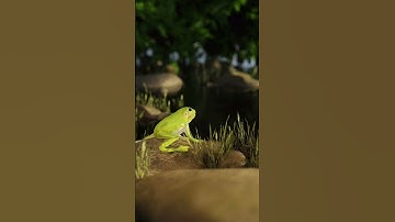 Frog Animation | Blender | Short Two
