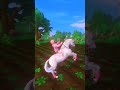 #sso #horse