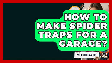 How To Make Spider Traps For A Garage? - Insects and Invaders