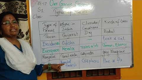 class 4 block 17 social studies