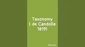 Taxonomy (de Candolle,1813)#defination # zoophilic buddy ☺️