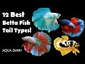 Different types of betta fish tails