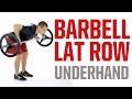 How to Do Barbell Standing Lat Row with Underhand Grip