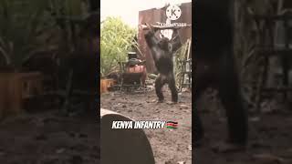 Europe Thinking They Can Colonise Africa Funny