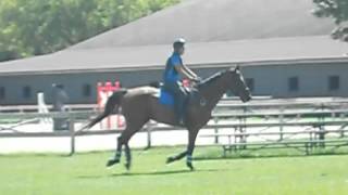 DSCN1029.AVI