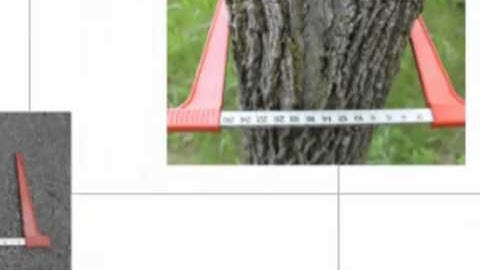Tree Calipers