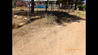 THE KINGMAN DAILY MINER POLLUTES NEIGHBORHOODS
