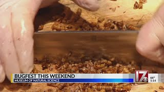 Bugfest slated for this weekend in Raleigh